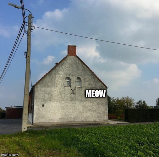 MEOW | image tagged in cat house | made w/ Imgflip meme maker