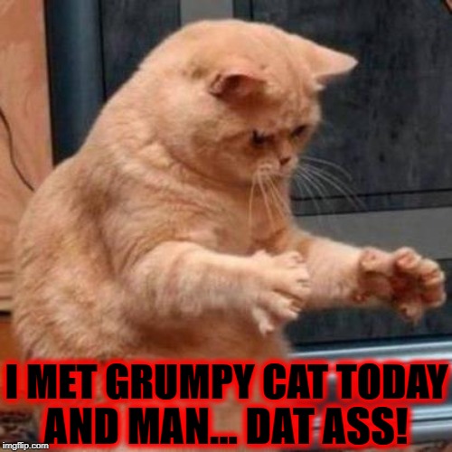 I MET GRUMPY CAT TODAY; AND MAN... DAT ASS! | image tagged in i met grumpy | made w/ Imgflip meme maker