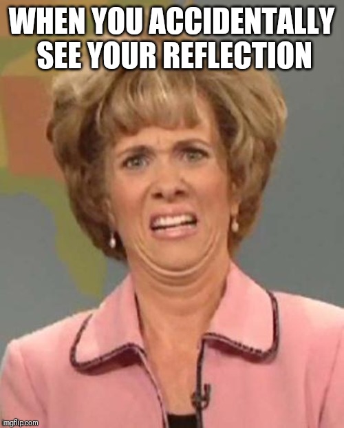 Disgusted Kristin Wiig | WHEN YOU ACCIDENTALLY SEE YOUR REFLECTION | image tagged in disgusted kristin wiig | made w/ Imgflip meme maker