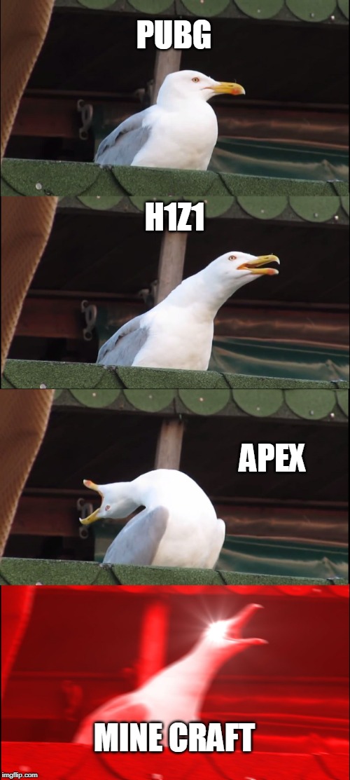 Inhaling Seagull | PUBG; H1Z1; APEX; MINE CRAFT | image tagged in memes,inhaling seagull | made w/ Imgflip meme maker