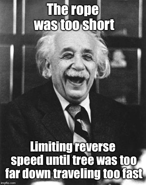 Einstein laugh | The rope was too short Limiting reverse speed until tree was too far down traveling too fast | image tagged in einstein laugh | made w/ Imgflip meme maker