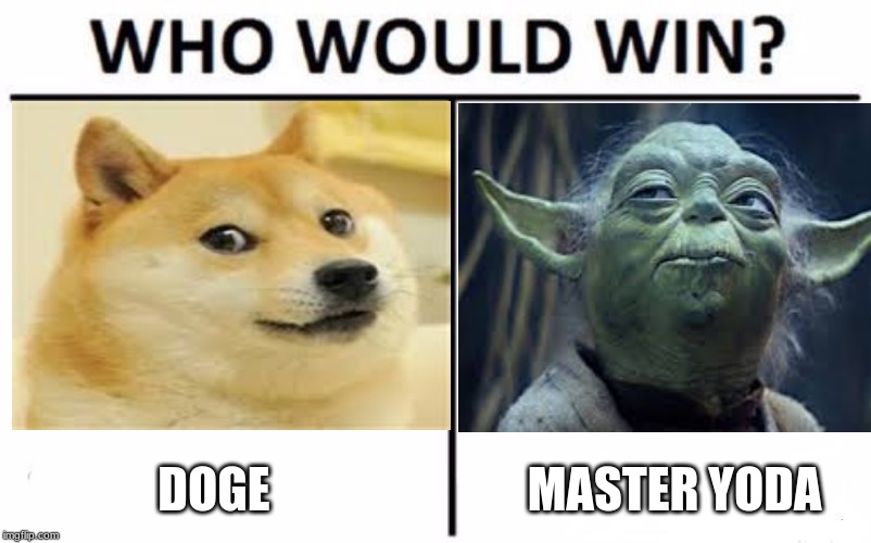 DOGE; MASTER YODA | image tagged in who would win | made w/ Imgflip meme maker