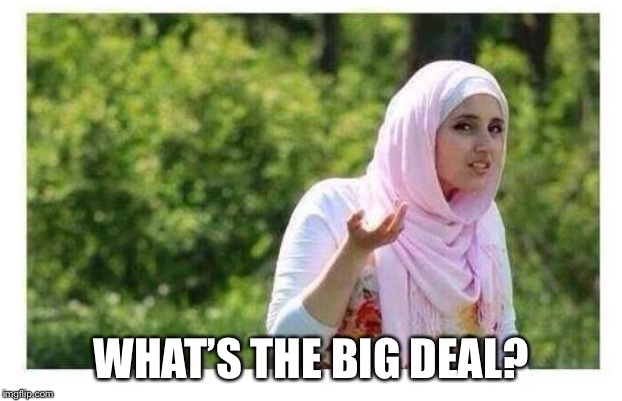 Confused Muslim Girl | WHAT’S THE BIG DEAL? | image tagged in confused muslim girl | made w/ Imgflip meme maker