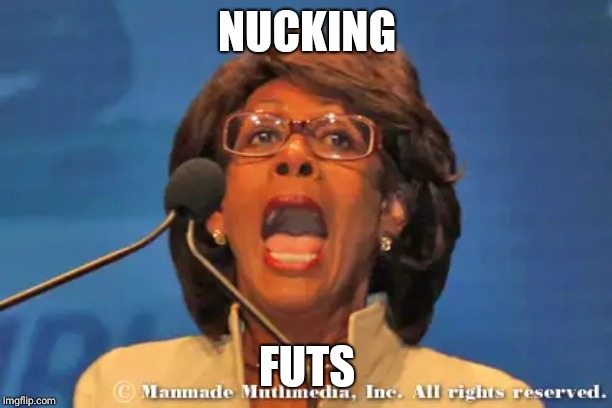 Maxine waters | NUCKING; FUTS | image tagged in maxine waters | made w/ Imgflip meme maker