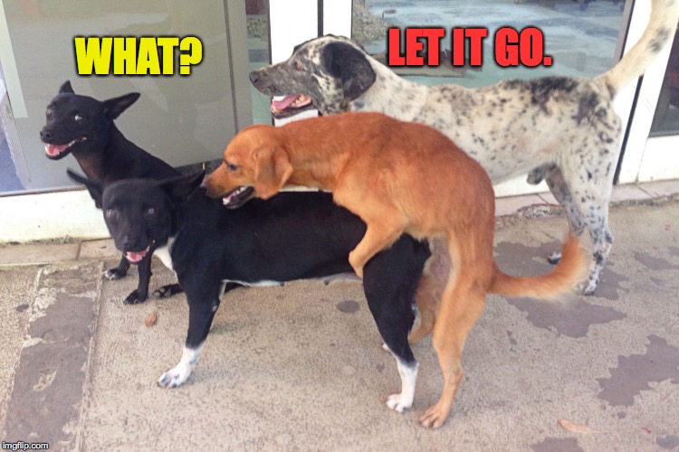 Doggy Sex | WHAT? LET IT GO. | image tagged in doggy sex | made w/ Imgflip meme maker