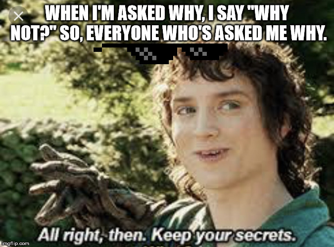 WhY? | WHEN I'M ASKED WHY, I SAY "WHY NOT?" SO, EVERYONE WHO'S ASKED ME WHY. | image tagged in all right then keep your secrets | made w/ Imgflip meme maker