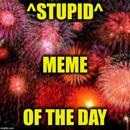  Happy new year its been pretty damn quick | ^STUPID^ OF THE DAY MEME | image tagged in happy new year its been pretty damn quick | made w/ Imgflip meme maker