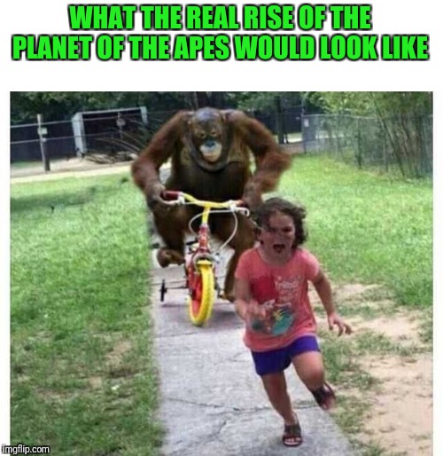 WHAT THE REAL RISE OF THE PLANET OF THE APES WOULD LOOK LIKE | image tagged in planet of the apes,monkeying around | made w/ Imgflip meme maker