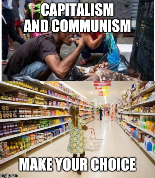 CAPITALISM AND COMMUNISM; MAKE YOUR CHOICE | image tagged in politics,economy,venezuela,right wing,communism and capitalism | made w/ Imgflip meme maker