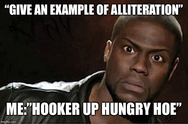 Kevin Hart | “GIVE AN EXAMPLE OF ALLITERATION”; ME:”HOOKER UP HUNGRY HOE” | image tagged in memes,kevin hart | made w/ Imgflip meme maker