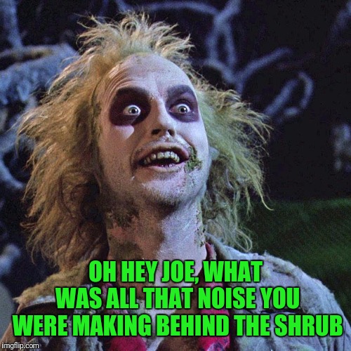 OH HEY JOE, WHAT WAS ALL THAT NOISE YOU WERE MAKING BEHIND THE SHRUB | made w/ Imgflip meme maker