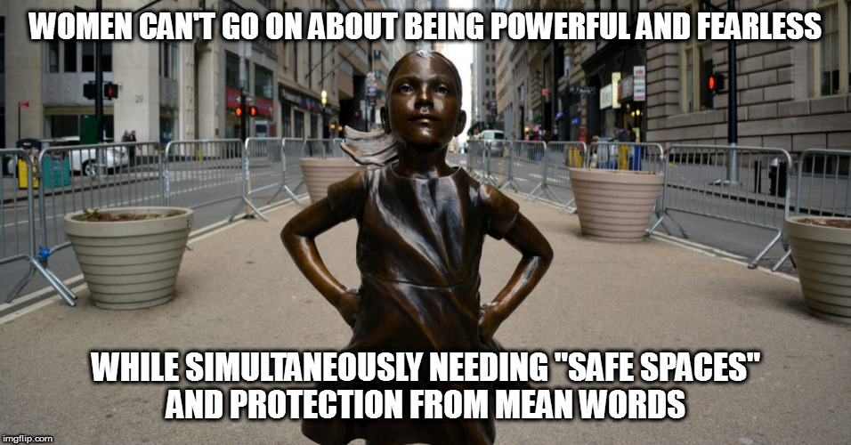 It's entirely contradictory | WOMEN CAN'T GO ON ABOUT BEING POWERFUL AND FEARLESS; WHILE SIMULTANEOUSLY NEEDING "SAFE SPACES"       AND PROTECTION FROM MEAN WORDS | image tagged in memes,politics,anti-feminism | made w/ Imgflip meme maker