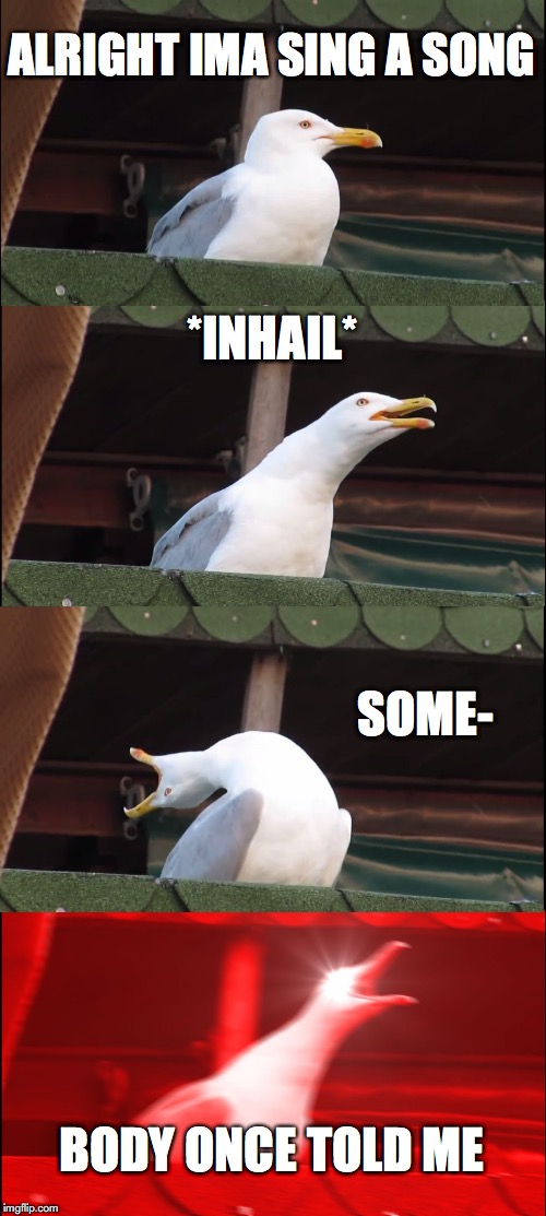Inhaling Seagull Meme | ALRIGHT IMA SING A SONG; *INHAIL*; SOME-; BODY ONCE TOLD ME | image tagged in memes,inhaling seagull | made w/ Imgflip meme maker