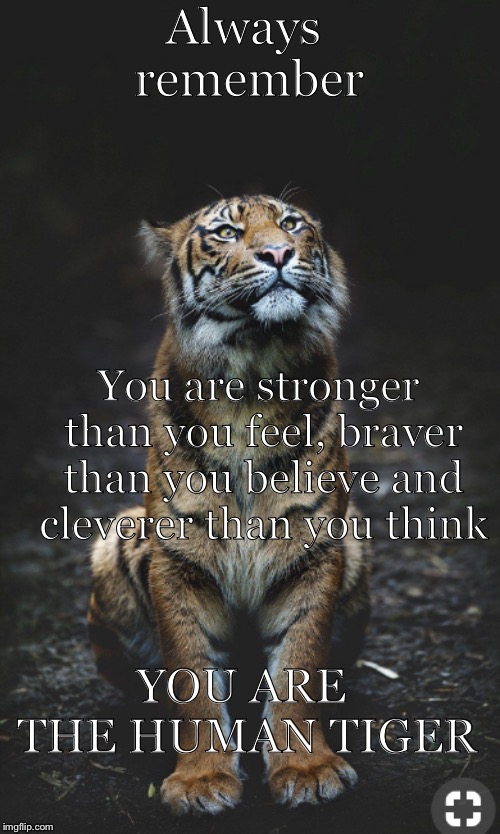Never doubt yourself | Always remember; You are stronger than you feel, braver than you believe and cleverer than you think; YOU ARE THE HUMAN TIGER | image tagged in tiger | made w/ Imgflip meme maker