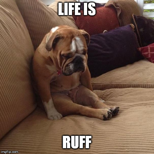 bulldogsad | LIFE IS RUFF | image tagged in bulldogsad | made w/ Imgflip meme maker