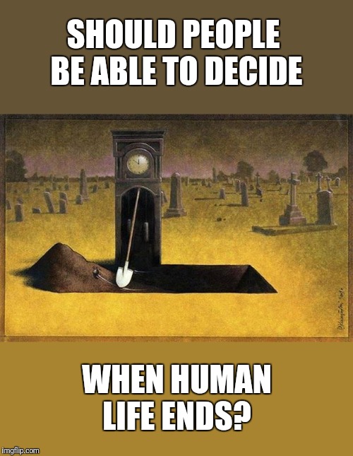 Or is it a decision better left up to God? | SHOULD PEOPLE BE ABLE TO DECIDE; WHEN HUMAN LIFE ENDS? | image tagged in sometimes i wonder,abortion,death penalty,suicide,murder,human rights | made w/ Imgflip meme maker
