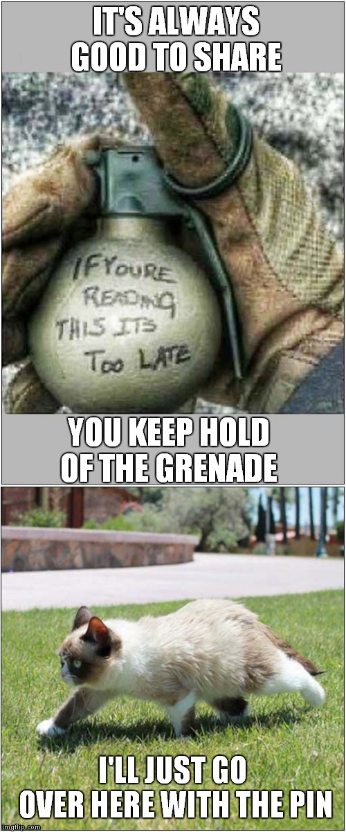 Grumpy Says It's Good To Share | IT'S ALWAYS GOOD TO SHARE; YOU KEEP HOLD OF THE GRENADE; I'LL JUST GO OVER HERE WITH THE PIN | image tagged in cats,grumpy cat,grenade | made w/ Imgflip meme maker