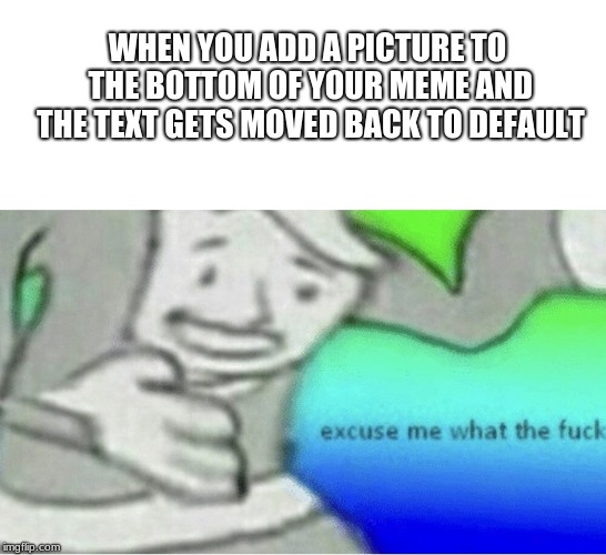 Excuse me wtf blank template | WHEN YOU ADD A PICTURE TO THE BOTTOM OF YOUR MEME AND THE TEXT GETS MOVED BACK TO DEFAULT | image tagged in excuse me wtf blank template | made w/ Imgflip meme maker