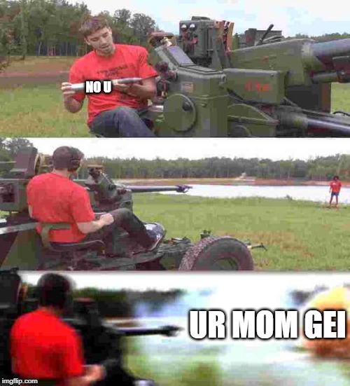 Artillery | NO U; UR MOM GEI | image tagged in artillery | made w/ Imgflip meme maker