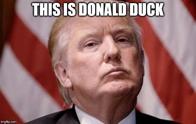 Donald Duck | THIS IS DONALD DUCK | image tagged in memes | made w/ Imgflip meme maker