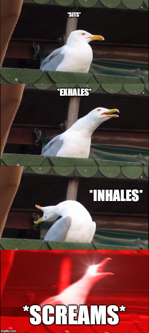 Inhaling Seagull Meme | *SITS*; *EXHALES*; *INHALES*; *SCREAMS* | image tagged in memes,inhaling seagull | made w/ Imgflip meme maker