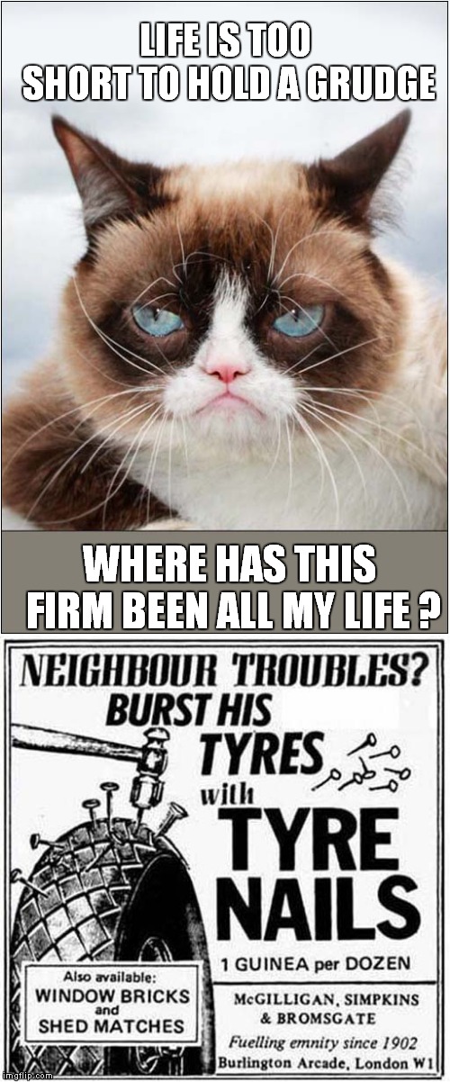 Grumpy Says 'Life's Too Short to Hold a Grudge' | LIFE IS TOO SHORT TO HOLD A GRUDGE; WHERE HAS THIS FIRM BEEN ALL MY LIFE ? | image tagged in cats,grumpy cat,revenge | made w/ Imgflip meme maker