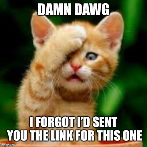 forgot cat | DAMN DAWG I FORGOT I’D SENT YOU THE LINK FOR THIS ONE | image tagged in forgot cat | made w/ Imgflip meme maker