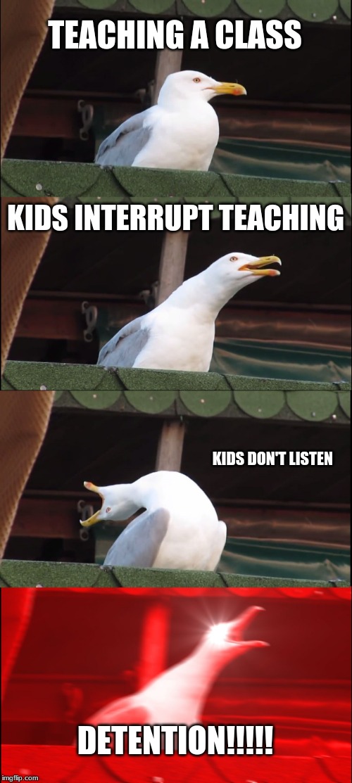 Inhaling Seagull | TEACHING A CLASS; KIDS INTERRUPT TEACHING; KIDS DON'T LISTEN; DETENTION!!!!! | image tagged in memes,inhaling seagull | made w/ Imgflip meme maker