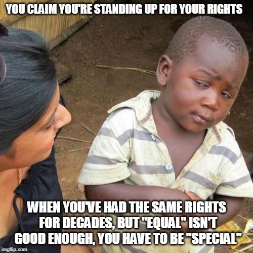 Third World Skeptical Kid | YOU CLAIM YOU'RE STANDING UP FOR YOUR RIGHTS; WHEN YOU'VE HAD THE SAME RIGHTS FOR DECADES, BUT "EQUAL" ISN'T GOOD ENOUGH, YOU HAVE TO BE "SPECIAL" | image tagged in memes,third world skeptical kid | made w/ Imgflip meme maker