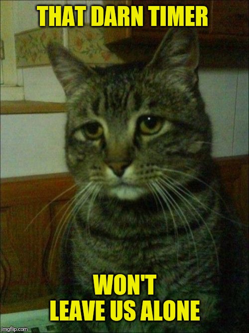 Depressed Cat Meme | THAT DARN TIMER WON'T LEAVE US ALONE | image tagged in memes,depressed cat | made w/ Imgflip meme maker