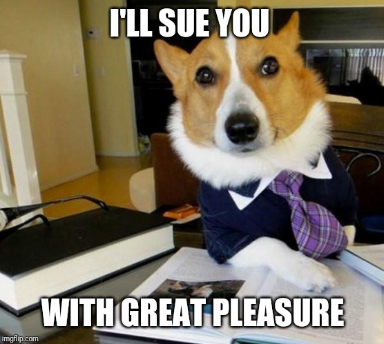 Lawyer Corgi Dog | I'LL SUE YOU WITH GREAT PLEASURE | image tagged in lawyer corgi dog | made w/ Imgflip meme maker
