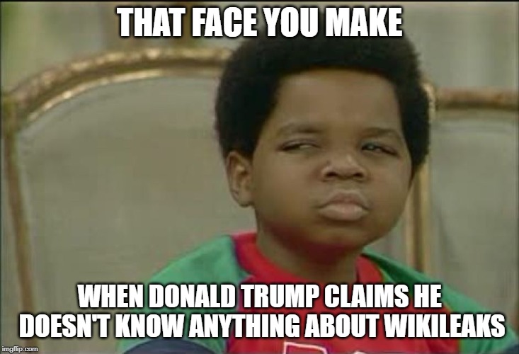What you talking about Wikileaks? | THAT FACE YOU MAKE; WHEN DONALD TRUMP CLAIMS HE DOESN'T KNOW ANYTHING ABOUT WIKILEAKS | image tagged in that face you make when,trump,conservative hypocrisy,wikileaks,julian assange | made w/ Imgflip meme maker