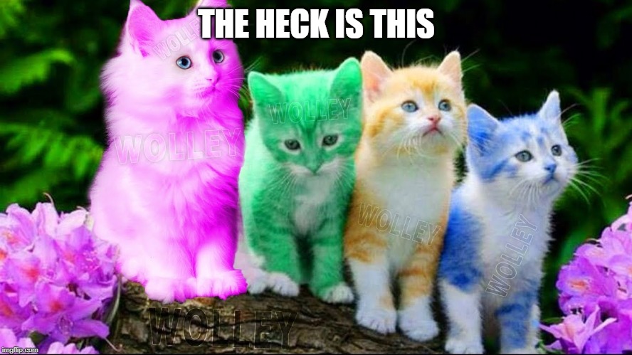 Color cats????????? | THE HECK IS THIS | image tagged in meme,funny,color,cat,color cats,dyed cats maybe | made w/ Imgflip meme maker