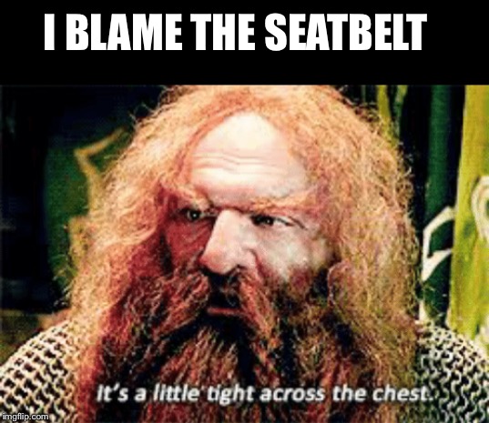 I BLAME THE SEATBELT | made w/ Imgflip meme maker