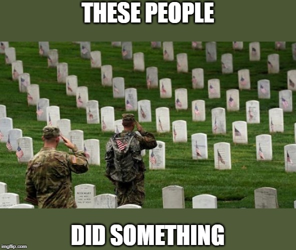 Some people did nothing...not these people. | THESE PEOPLE; DID SOMETHING | image tagged in arlington,politics,veterans,american politics,political meme | made w/ Imgflip meme maker