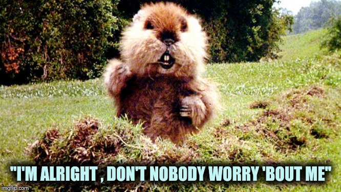 Caddyshack Gopher | "I'M ALRIGHT , DON'T NOBODY WORRY 'BOUT ME" | image tagged in caddyshack gopher | made w/ Imgflip meme maker