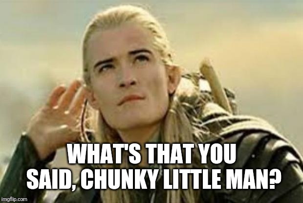legolas | WHAT'S THAT YOU SAID, CHUNKY LITTLE MAN? | image tagged in legolas | made w/ Imgflip meme maker