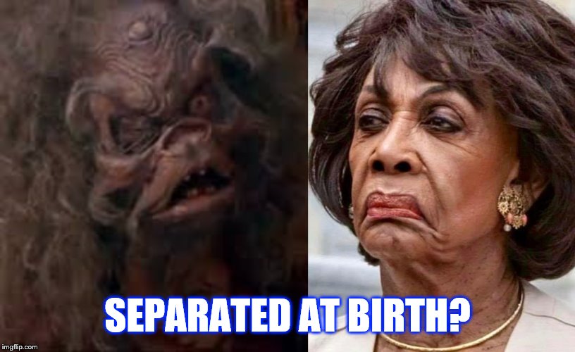 SEPARATED AT BIRTH? | image tagged in maxine waters | made w/ Imgflip meme maker