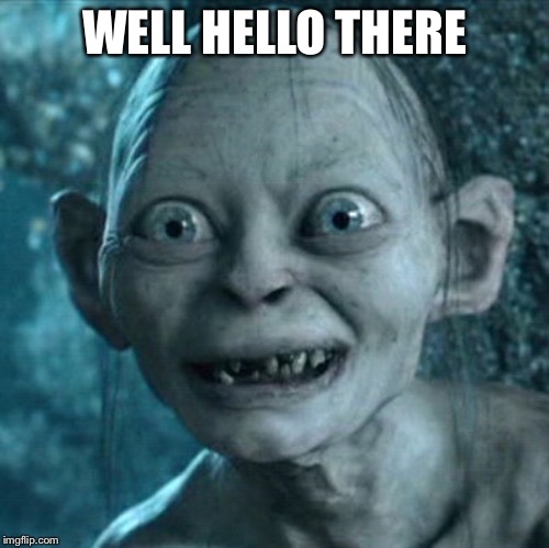 Gollum Meme | WELL HELLO THERE | image tagged in memes,gollum | made w/ Imgflip meme maker