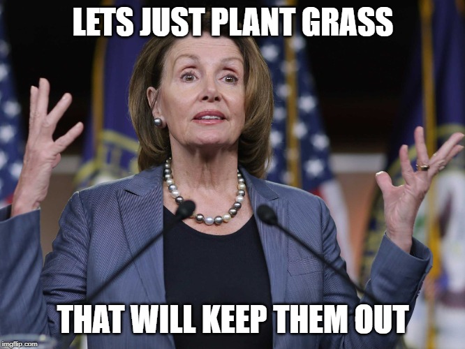 nancy | LETS JUST PLANT GRASS; THAT WILL KEEP THEM OUT | image tagged in nancy | made w/ Imgflip meme maker