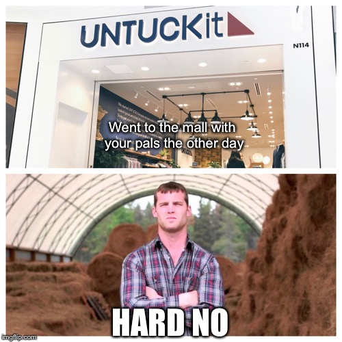  Went to the mall with your pals the other day; HARD NO | image tagged in memes,letterkenny,hard no | made w/ Imgflip meme maker