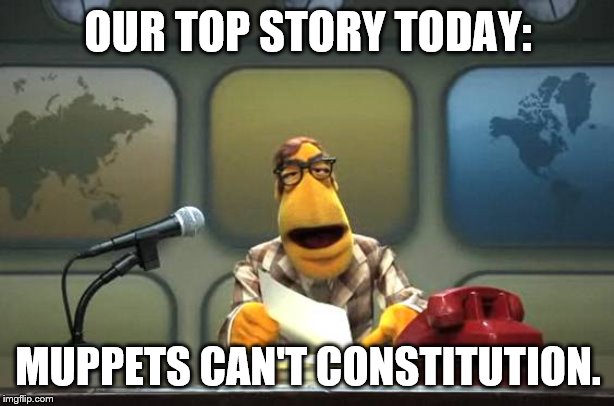 Muppet News Flash | OUR TOP STORY TODAY: MUPPETS CAN'T CONSTITUTION. | image tagged in muppet news flash | made w/ Imgflip meme maker