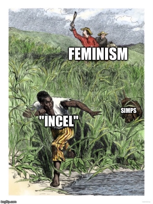 FEMINISM; SIMPS; "INCEL" | made w/ Imgflip meme maker