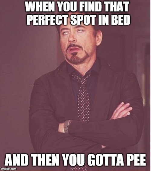 I think you can imagine where I found the inspiration for this meme | WHEN YOU FIND THAT PERFECT SPOT IN BED; AND THEN YOU GOTTA PEE | image tagged in memes,face you make robert downey jr | made w/ Imgflip meme maker