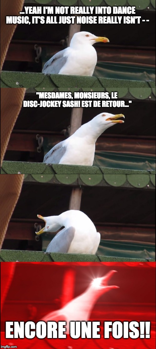 Eurotrash Dance Gull | ...YEAH I'M NOT REALLY INTO DANCE MUSIC, IT'S ALL JUST NOISE REALLY ISN'T - -; "MESDAMES, MONSIEURS, LE DISC-JOCKEY SASH! EST DE RETOUR..."; ENCORE UNE FOIS!! | image tagged in memes,inhaling seagull | made w/ Imgflip meme maker