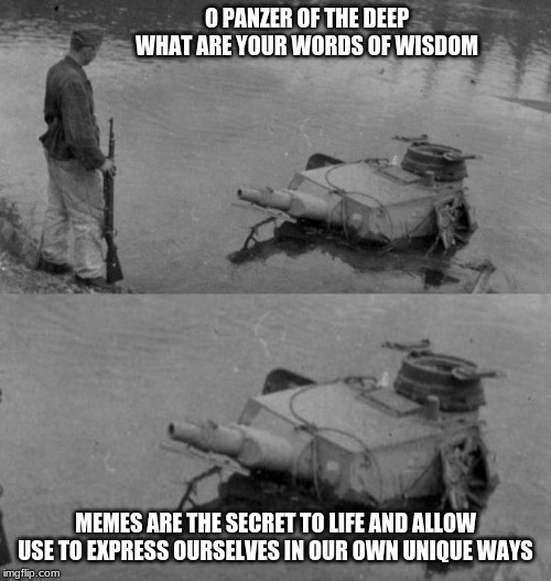 Panzer of the lake | O PANZER OF THE DEEP WHAT ARE YOUR WORDS OF WISDOM; MEMES ARE THE SECRET TO LIFE AND ALLOW USE TO EXPRESS OURSELVES IN OUR OWN UNIQUE WAYS | image tagged in panzer of the lake | made w/ Imgflip meme maker