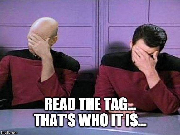 double face palm | READ THE TAG... THAT'S WHO IT IS... | image tagged in double face palm | made w/ Imgflip meme maker