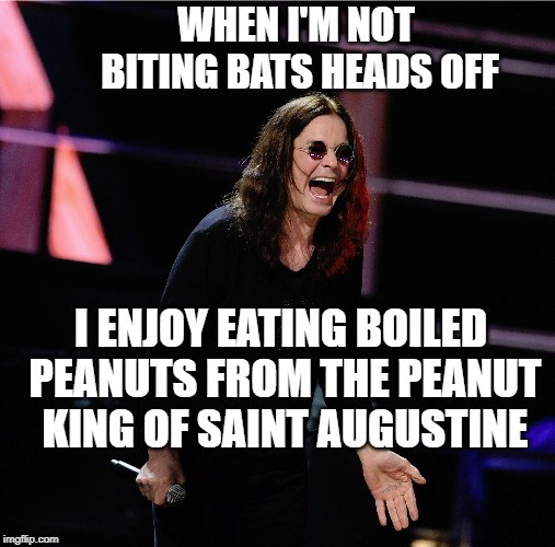 WHEN I'M NOT BITING BATS HEADS OFF; I ENJOY EATING BOILED PEANUTS FROM THE PEANUT KING OF SAINT AUGUSTINE | image tagged in funny memes | made w/ Imgflip meme maker