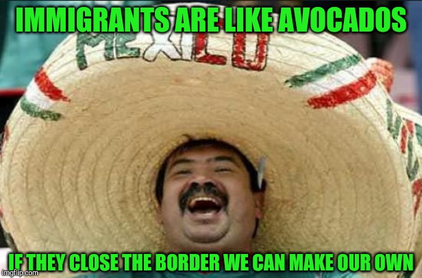 mexican word of the day | IMMIGRANTS ARE LIKE AVOCADOS; IF THEY CLOSE THE BORDER WE CAN MAKE OUR OWN | image tagged in mexican word of the day | made w/ Imgflip meme maker