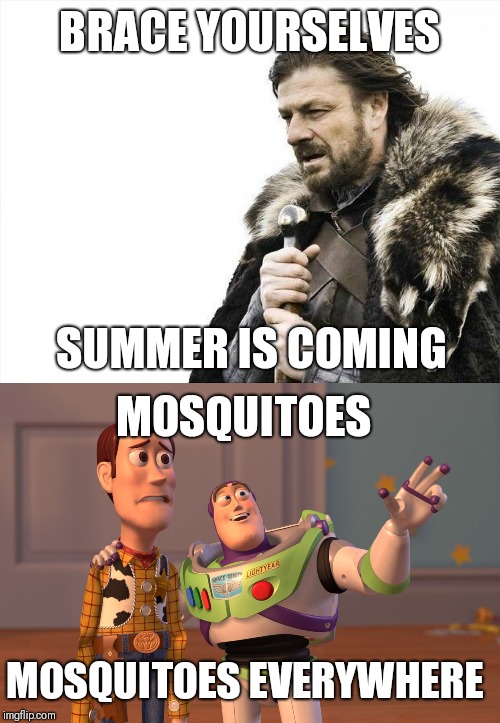 BRACE YOURSELVES; SUMMER IS COMING; MOSQUITOES; MOSQUITOES EVERYWHERE | image tagged in memes,brace yourselves x is coming,x x everywhere | made w/ Imgflip meme maker